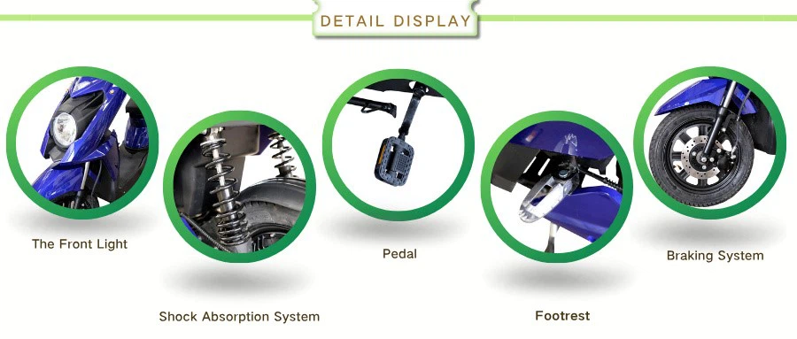 Detail Display 5 Detail Display 5