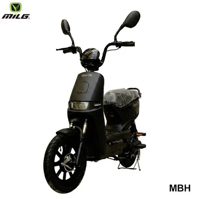 Pi bon Ebike pou livrezon